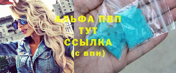 эйфоретик Баксан